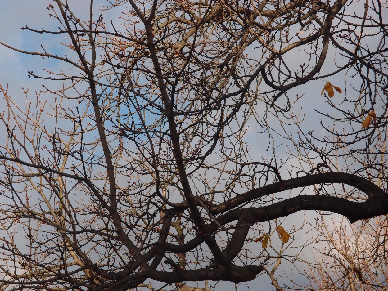 003 2015-11-10 durch die Stadt (Dat Tape 2)